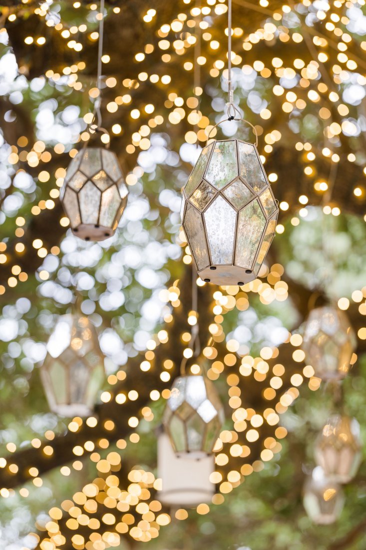 Light up the tree for your event